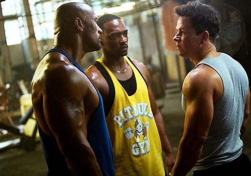 single bodybuilder dating