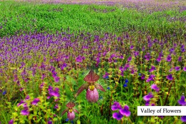 beautiful-places-of-landscape-photography-in-india-uttaranchal