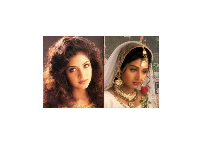 Do You Think That Divya Bharti And Sridevi Look As Sisters Discuss