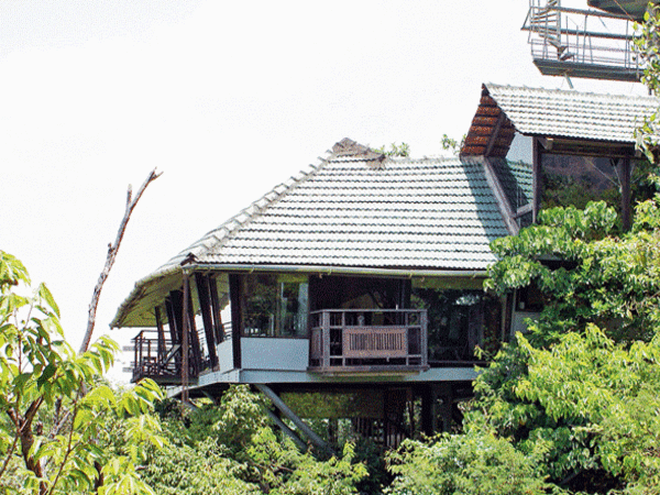 Experience The Tree Resorts The Machan Lonavala