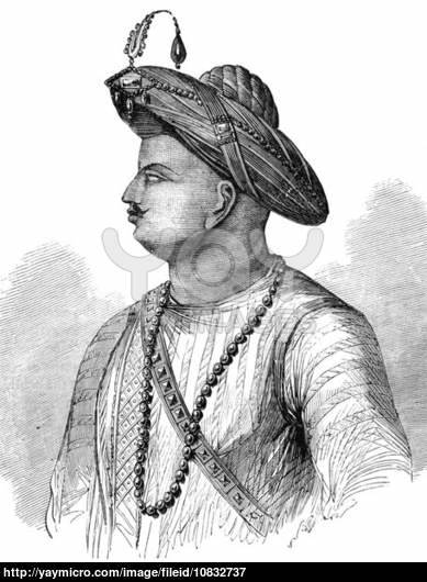 How Tipu Sultan Actually Looked?