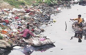 water pollution in delhi indiatimes com