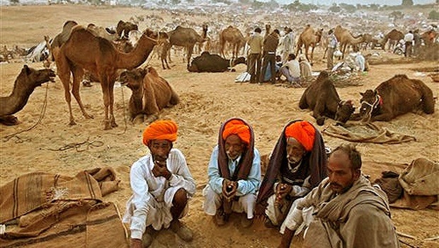 Photos: Interesting facts about Pushkar Camel Fair Photos