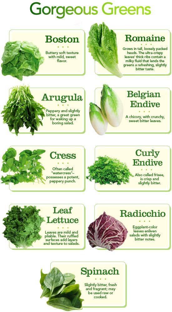 Various Pictures Of Lettuce Salad - Indiatimes.com