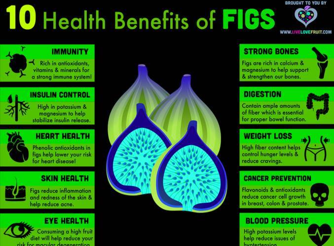Dare ring leje Various Health Benefits Of Fig