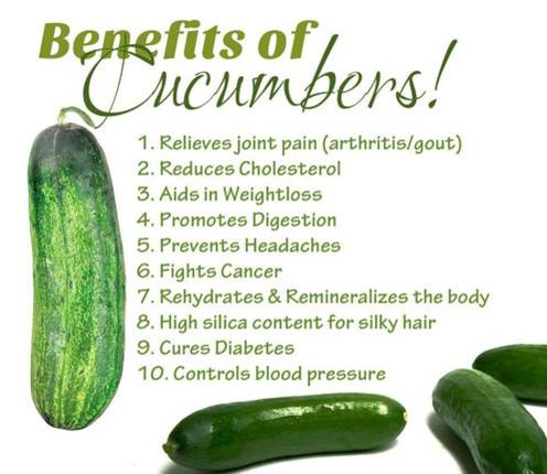 cucumbers diabetes cholesterol diets musely detox pressure itimes stomach celery constipation asare amani