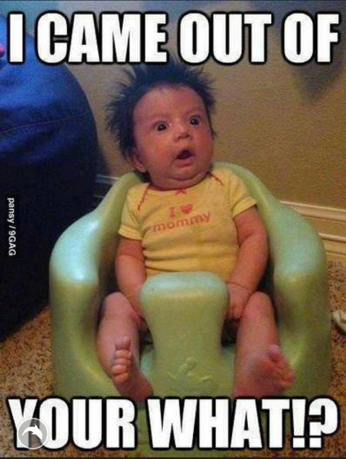 1475667151-funny-babies-jokes.jpg