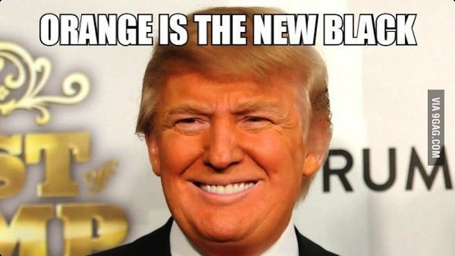Funniest Donald Trump Memes Photos