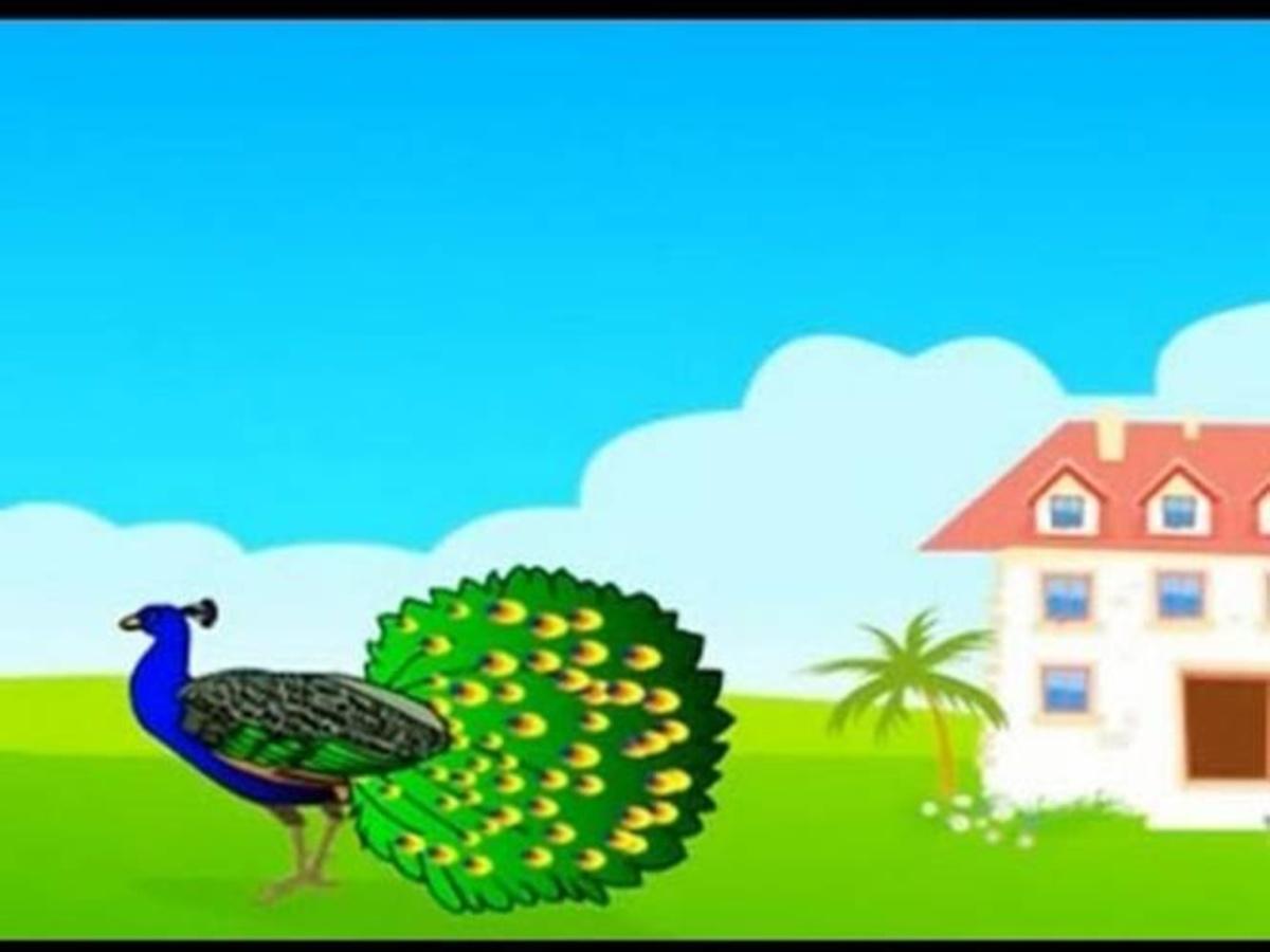 Peacock Bird Nursery Rhymes In Hindi | Animated Songs Playlist For Children  With Lyrics