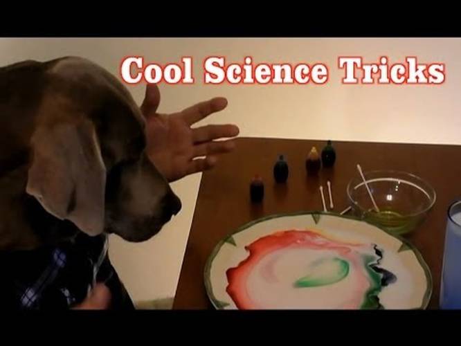 2 Super Cool Science Experiments You Can Do At Home With Household Items