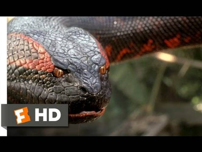 Anaconda 8 8 Movie Clip Swallowed Whole 1997 Hd