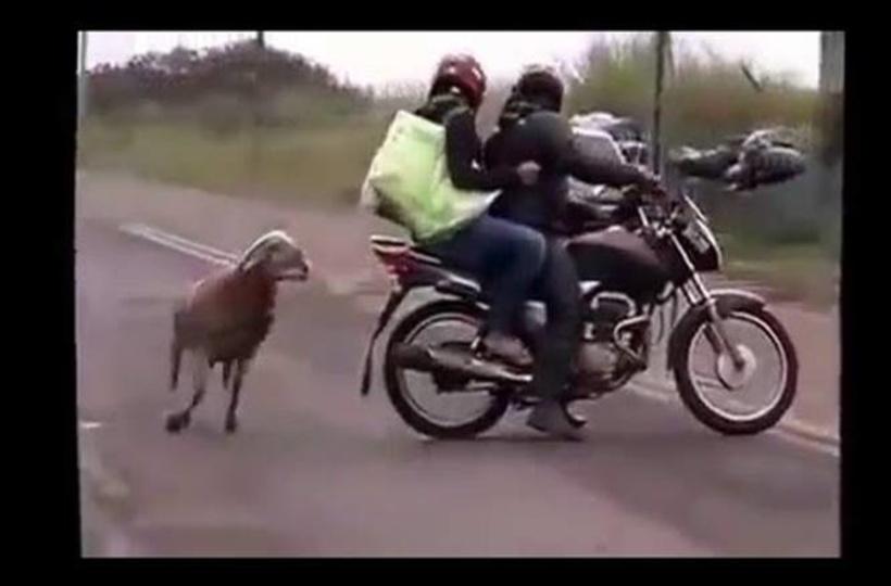 Whatsapp Videos Funny- Comedy Indian -latest 2016 Whatsapp Videos Funny- Comedy Indian -latest 2016