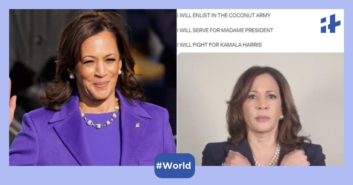 Why are coconut tree memes trending as Kamala Harris begins her ...