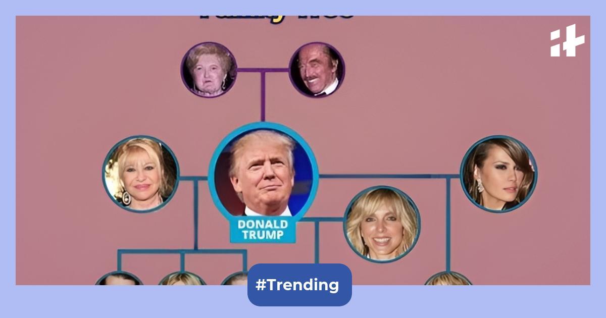 Donald Trump family tree: Meet the five children, and ten grandchildren ...