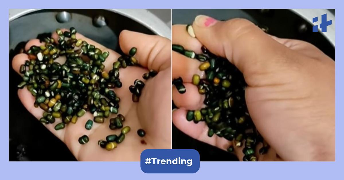 Love eating ‘dal’? Viral video shows black lentils turn green upon soaking overnight; know 5 serious risks