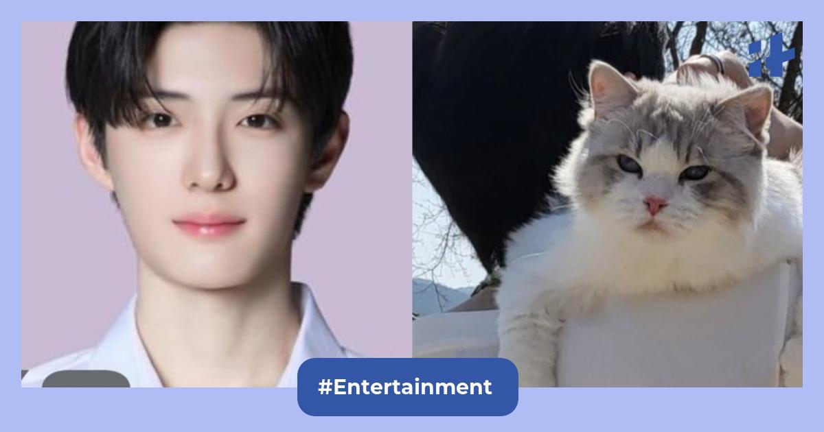 Boys II Planet trainee faces backlash after photos of him with his pet cat raises ‘animal abuse’ concerns