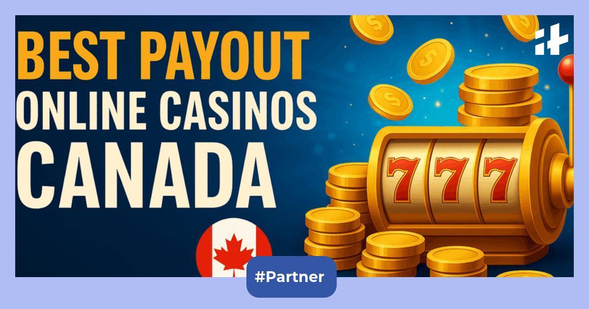 live dealer online casino