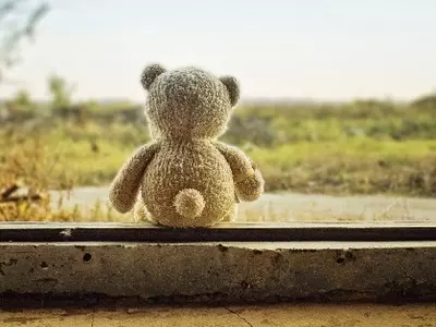 Lonely teddy