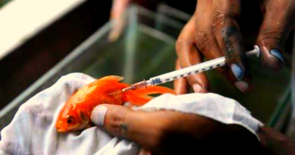 Kolkata's Rs. 5 Crore Fish Hospital Will Make You Go 'What The Fish'