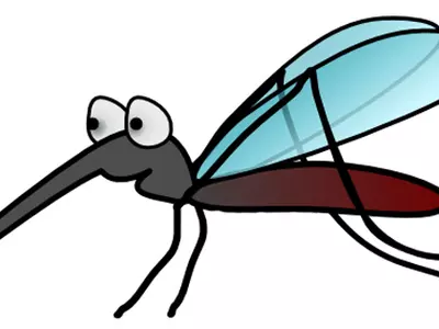 Genetically Modified Mosquitoes Malaria