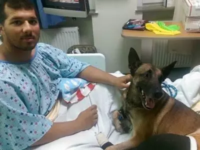 Soldier And Dog Treated Together In The Same Hospital Room After Getting Injured In Afghanistan