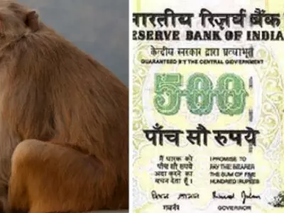 500-Rupee Notes Rain Down Near Banke Bihari Temple