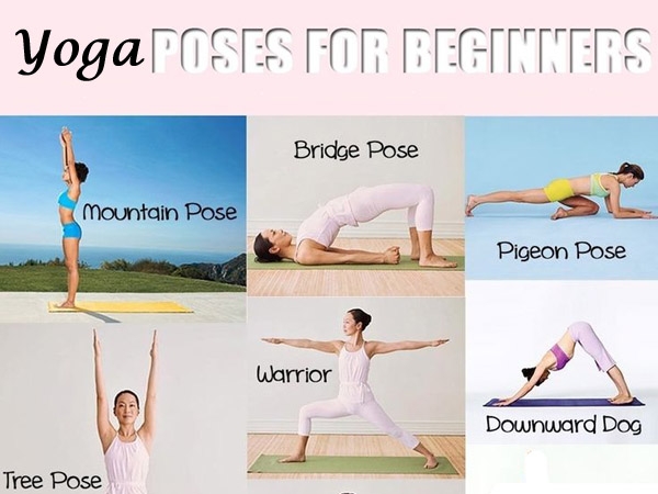 Yoga for Beginners: 60 Basic Yoga Poses for Flexibility, Stress Relief, and  Inner Peace: Neal, Susan: 9780997763638: Amazon.com: Books