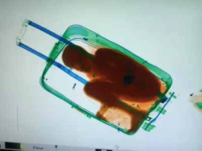Man Suitcase