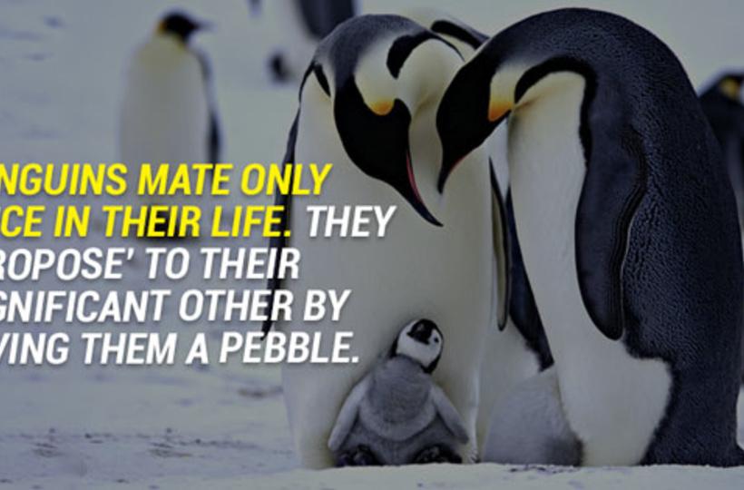 15 Facts That Will Leave You Happy For The Rest Of The Day 15 Facts That Will Leave You Happy For The Rest Of The Day
