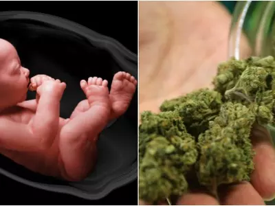 New Study Reveals That Babies Exposed To Marijuana In The Womb Have Better Eyesight