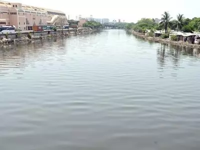Here's How The Recent Chennai Floods Brought The Cooum River Back To Life