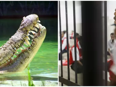 indonesia jail crocodile