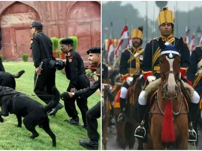 War animals in Indian Army