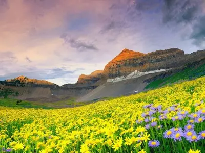 Uttarakhand Tourism To Get A Boost, New Trekking Routes To Open Soon Around Valley Of Flowers
