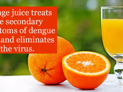 11 Home Remedies To Fight Dengue Fever At Home