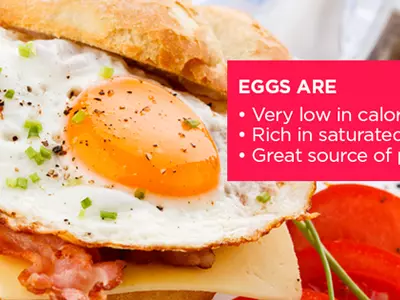 XYZ Egg-cellent Facts About Eggs That Will Make You Fall In Love With Them