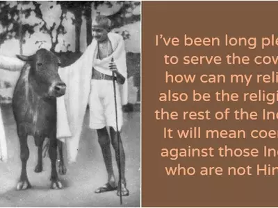 Mahatma Gandhi's Advice Against Beef Ban In India Makes As Much Sense Today As It Did Back Then