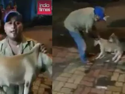 Disgusting man attacks dog