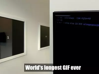 Longest gif