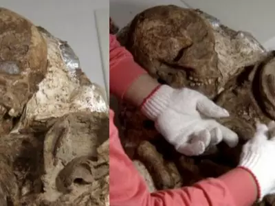 Taiwan Finds Its Oldest Human Fossil Of A Mother Cradling Her Baby From 4,800 Years Ago!