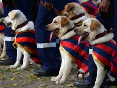 Dog squad Delhi police
