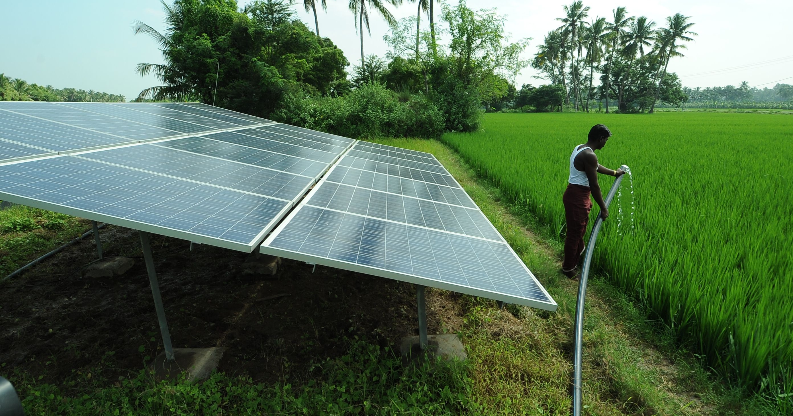 An Entire District In Rajasthan Is Set To Switch To 100% Solar Power