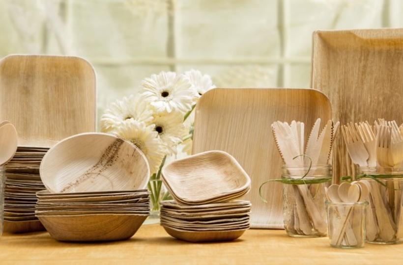 12 Biodegradable Disposable Plates - Made in India