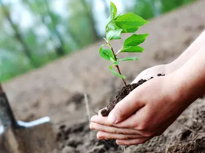 Uttar Pradesh Has Officially Won A Guinness World Record For Planting 5 Crore+ Trees In One Day!