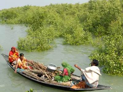 You May Need A Permit To Visit The Sunderbans