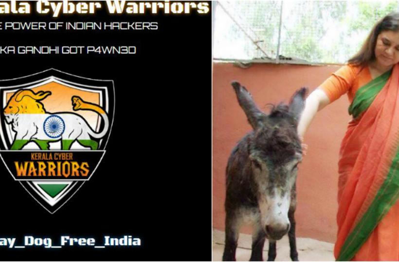 Kerala Cyber Warriors Hack Maneka Gandhi's People for Animals Website,  Demand A Stray Dog Free India