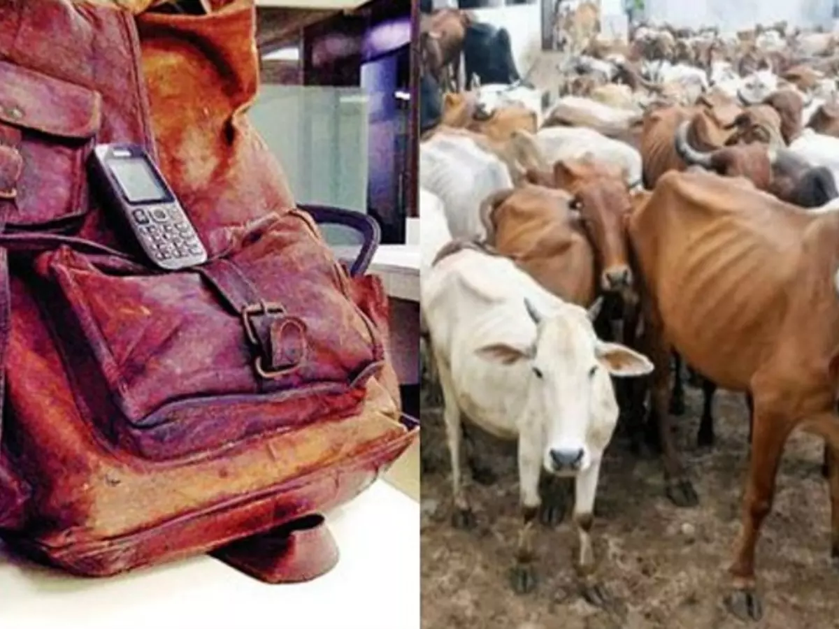 gau gau