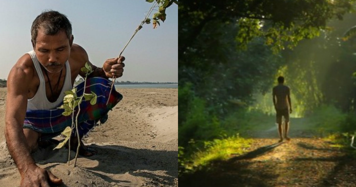 Meet Jadav Molai Payeng - The Man Who Grew A Forest Larger ...
