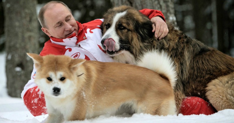 Apprehensive Putin Says No To �Diplomatic Dog� Gifted By Japan�s PM