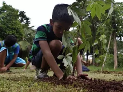 Teen Creates 'Treebook' App To Keep Saplings Alive After Plantation Drives